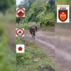 (စစ်ဆင်ရေးတစ်ခုတွင် စလင်းPDF ရဲဘော်များအား တွေ့ရစဥ်။ ဓာတ်ပုံ-စလင်း PDF)