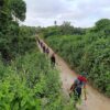(ရေတာရှည်မြို့နယ်တိုကိပွဲတွင် စစ်ကောင်စီတပ်အား တိုက်ခိုက်ခဲ့သော ပြည်သူ့ရဲဘော်များအား တွေ့ရစဉ်။ ဓာတ်ပုံ - MOD)