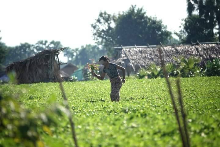 (တိုက်ပွဲပြန် တော်လှန်ရေးပူးပေါင်းတပ်ဖွဲ့ဝင် ရဲဘော်များအား ဒေသခံပြည်သူများက ကြိုဆိုနေကြစဥ်။ ဓာတ်ပုံ - PLA)