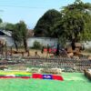 (နမ့်ဖက်ကာရှိ စစ်တပ်ဗျူဟာကုန်းကိုKIA က ဇန်နဝါရီလတွင် တိုက်ခိုက်သိမ်းပိုက်ပြီး​နောက် သိမ်းဆည်းရရှိ​သောလက်နက် ခဲယမ်းများ။ဓါတ်ပုံ- 7 Stars News)