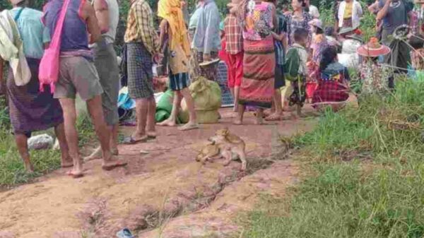 (တိုက်ပွဲဖြစ်ပွားမှုကြောင့် ညောင်လေးပင်ခရိုင်အတွင်းရှိ စစ်ဘေးရှောင်ပြည်သူများအား တွေ့ရစဉ်။ ဓာတ်ပုံ - CJ)