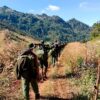 (PNLA တပ်ဖွဲ့ဝင်များ ။ဓါတ်ပုံ-PNLA)
