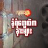 "နံရံတွေထဲကနားများ"