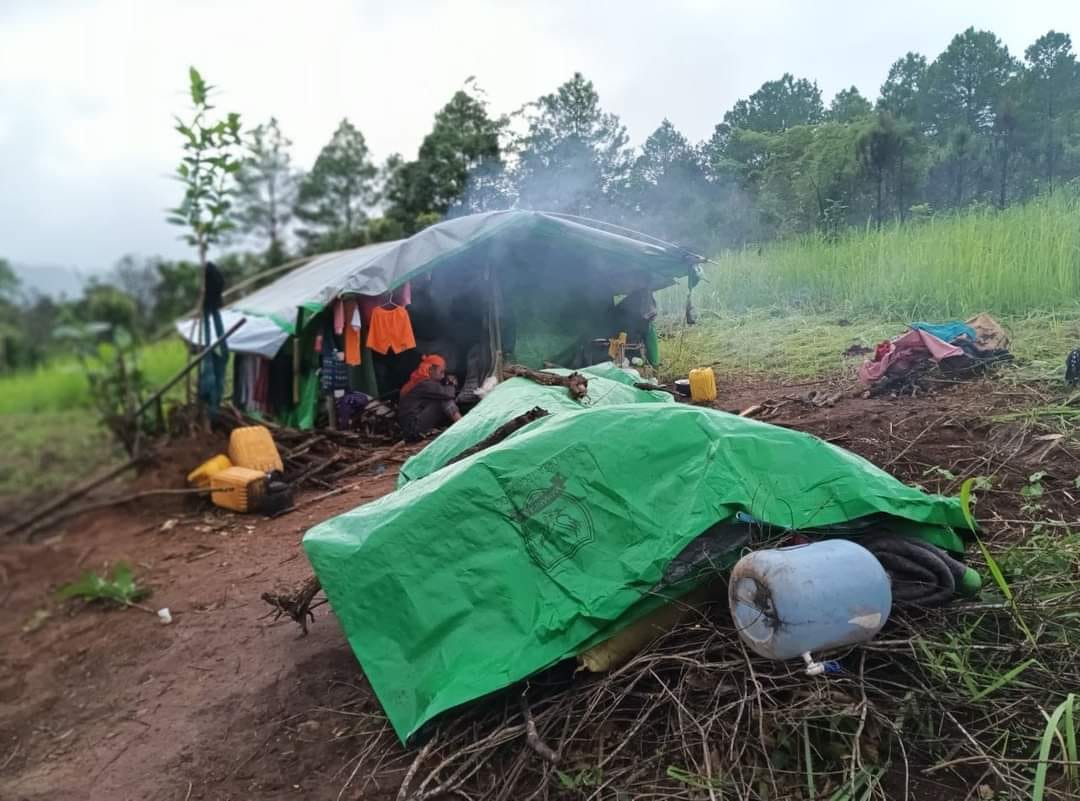 (စစ်ကောင်စီတပ် စစ်ကြောင်းထိုး၍ ထွက်ပြေးတိမ်းရှောင်နေရသော ပင်လောင်းမြို့နယ်အတွင်းမှ စစ်ဘေးရှောင်များ။ ဓါတ်ပုံ-Kayan Rescue Committee)