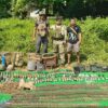 (အောင်ဇေယျစစ်ကြောင်းကို ​ဒေါန​တောင်တွင် ဖြတ်​တောက်ပိတ်ဆို့ တိုက်ခိုက်​နေ​သော ​ကောဘရာမှ ဗိုလ်ဒါဘောနှင့် အတူအောက်တိုဘာ ၂၈ရက်က အောင်ဇေယျစစ်ကြောင်းမှ သိမ်းရသော လက်နက်ခဲယမ်းများ။ ဓာတ်ပုံ -​ ကျားသစ်နက်စစ်ကြောင်း တပ်ခွဲ - ၂)