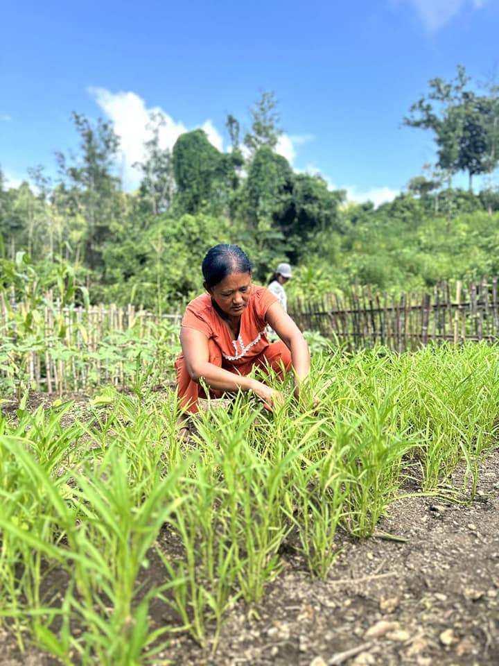 တော်လှန်ရေး နောက်တမ်းမှ အာဂမိခင်