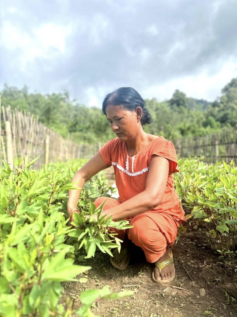 တော်လှန်ရေး နောက်တမ်းမှ အာဂမိခင်