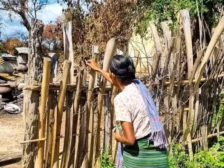 သားဖြစ်သူဦး​ခေါင်း အဖြတ်ခံရပြီး စစ်တပ်က ခြံစည်ရိုးမှာချိတ်ဆွဲခဲ့တဲ့​နေရာကို ကြည်ရှု​နေတဲ့ စီပါရွာကမိခင် ။ဓါတ်ပုံ-CJ 