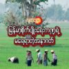 မြန်မာ့စိုက်ပျိုးရေးကဏ္ဍရဲ့ မ​ရေရာတဲ့အနာဂတ်