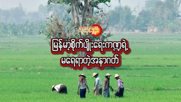 မြန်မာ့စိုက်ပျိုးရေးကဏ္ဍရဲ့ မ​ရေရာတဲ့အနာဂတ်