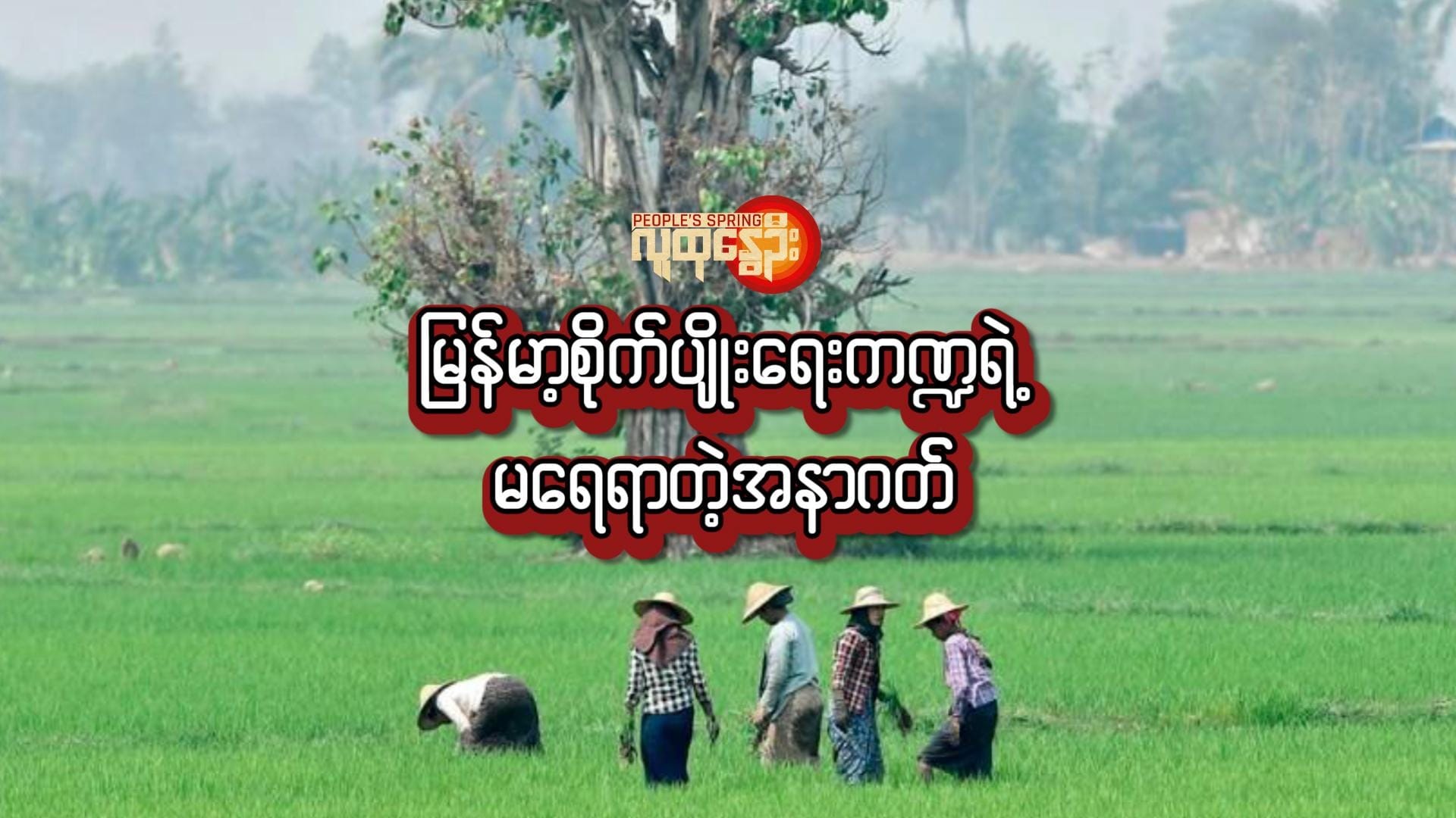 မြန်မာ့စိုက်ပျိုးရေးကဏ္ဍရဲ့ မ​ရေရာတဲ့အနာဂတ်