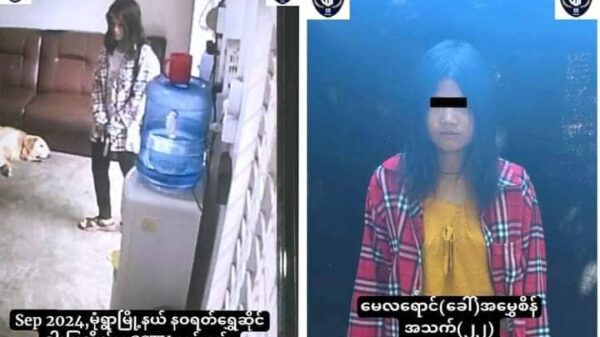 (လာရောက်အဖမ်းခံသည့် ရွှေဆိုင်ဓါးပြမှု၌ ပါဝင်သည်ဆိုသော အမျိုးသမီးအား တွေ့ရစဥ်။ဓာတ်ပုံ-မုံရွာပလဖ)