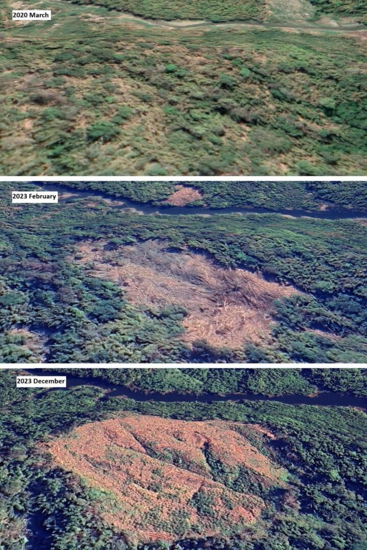 ပဲခူးရိုးမတစ်နေရာရှိ သစ်တောအခြေအနေအား Google Earth မှ တွေ့မြင်ရပုံ
