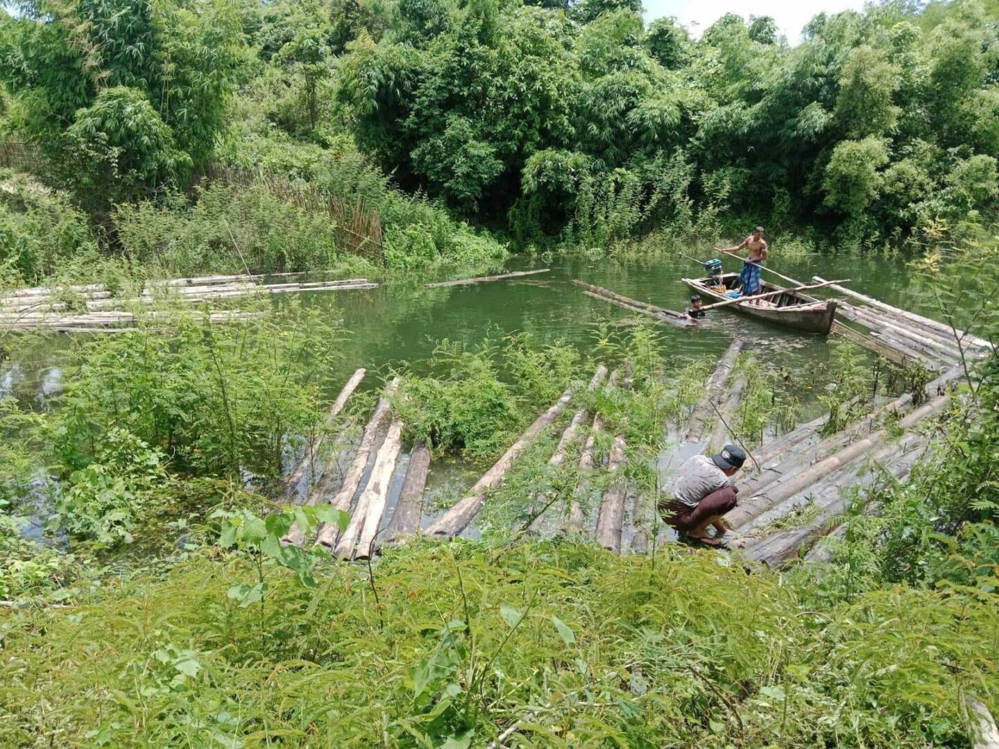 ပဲခူးရိုးမအတွင်း သစ်ခိုးထုတ်နေသူများကို PDF တပ်ဖွဲ့ဖမ်းဆီးထားစဉ်