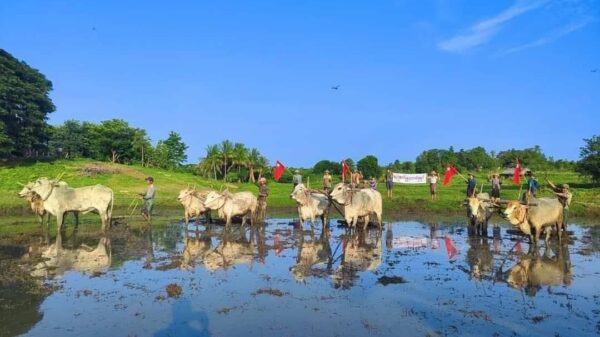 (စစ်ကိုင်းတိုင်း၊ ခင်ဦးမြို့နယ်ရှိ ကောက်စိုက်​နေသူများအားတွေ့ရစဥ်။ ဓာတ်ပုံ-ခင်ဦးမြို့နယ် သတင်းမှန်ပြန်ကြားရေး)