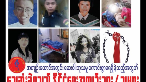 လုံလောက်တဲ့ဆေးကုသခွင့်မရလို့ ဆုံးပါးခဲ့ရတဲ့နိုင်ကျဉ်းအချို့