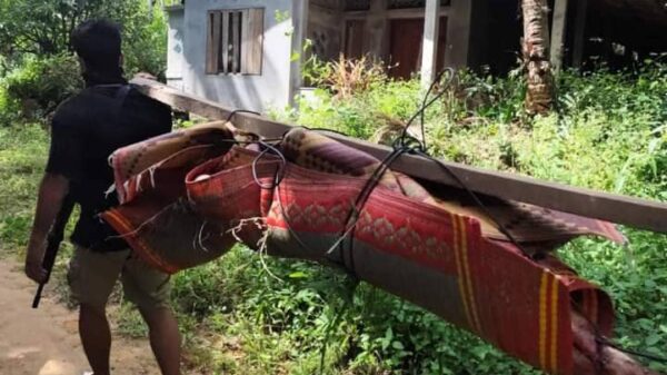 (သတ်ဖြတ်ခံရသည့် ဒေသခံအမျိုးသားတစ်ဦး၏ရုပ်အလောင်းအား တော်လှန်ရေးရဲဘော်များက သဂြိုလ်မည့်နေရာသို့ ပြောင်းရွှေ့သယ်ဆောင်လာစဥ်။ ဓာတ်ပုံ-PPDF)