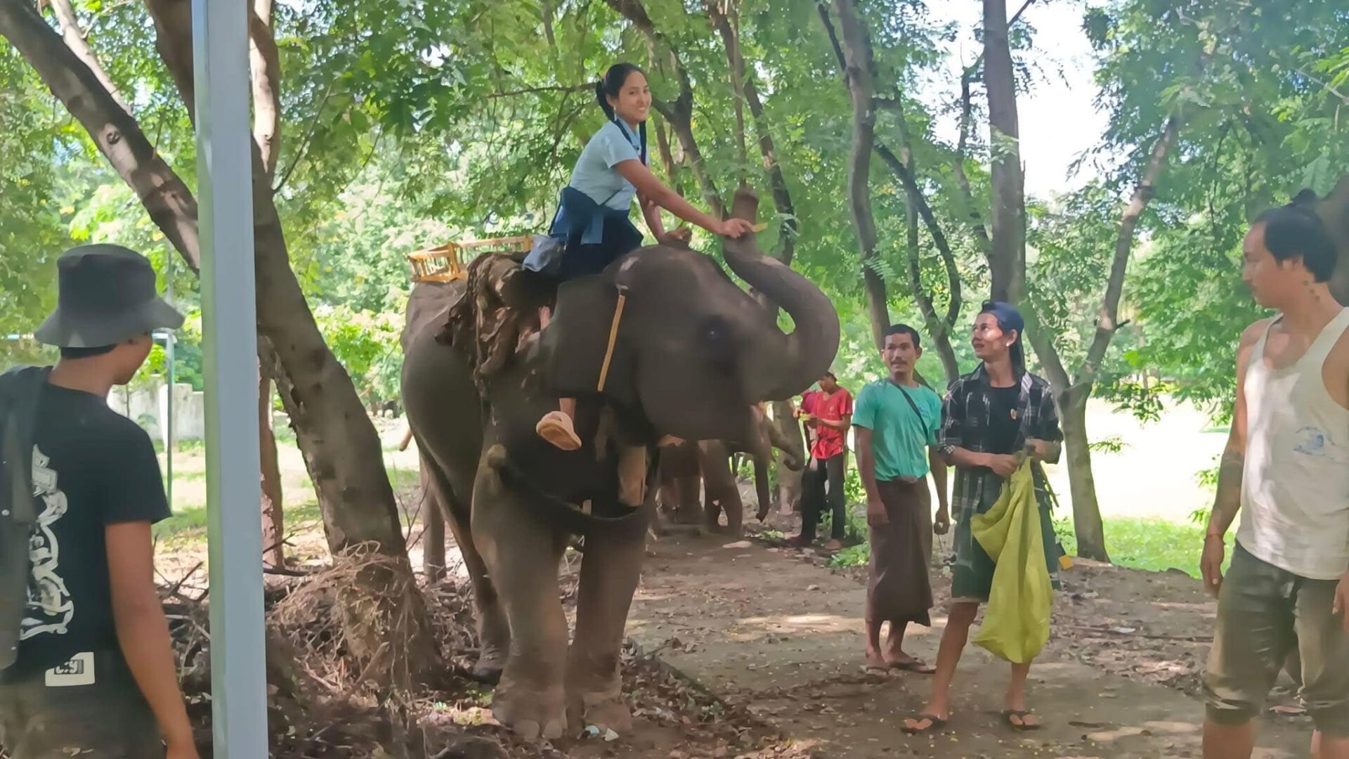 (စစ်ရှောင်ဆင်ကြီး၊ ဆင်ကလေးများစစ်ဘေးရှောင် ဆင်ဝိုင်းများမှ ဆင် ၁၃၈ ကောင်အပါအဝင် ဆင်ဦးစီး၊ဆင်အုပ်၊ ဆင်ထိန်းများနှင့် ပြည်သူ့လွတ်မြောက်ရေးတပ်မတော်-PLA မှ တပ်မှူးတပ်သားများ ဆုံတွေ့ခဲ့စဥ်။ဓာတ်ပုံ - PLA)