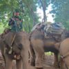 (စစ်ရှောင်ဆင်ကြီး၊ ဆင်ကလေးများစစ်ဘေးရှောင် ဆင်ဝိုင်းများမှ ဆင် ၁၃၈ ကောင်အပါအဝင် ဆင်ဦးစီး၊ဆင်အုပ်၊ ဆင်ထိန်းများနှင့် ပြည်သူ့လွတ်မြောက်ရေးတပ်မတော်-PLA မှ တပ်မှူးတပ်သားများ ဆုံတွေ့ခဲ့စဥ်။ဓာတ်ပုံ - PLA)