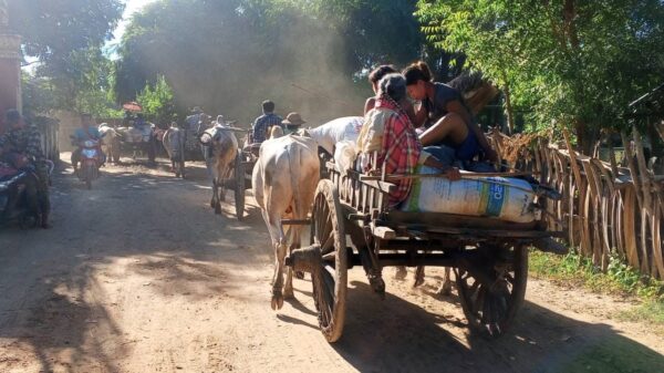 ပုလဲမြို့သိမ်းတိုက်ပွဲများကြောင့် ထွက်ပြေးတိမ်းရှောင်နေကြသည့် ဒေသခံများကို ၂၀၂၄ ခုနှစ်၊ နိုဝင်ဘာ ၁၄ ရက်နေ့က တွေ့ရစဥ်။ ဓာတ်ပုံ - ပုလဲမြို့နယ် ပြည်သူ့အုပ်ချုပ်ရေးအဖွဲ့
