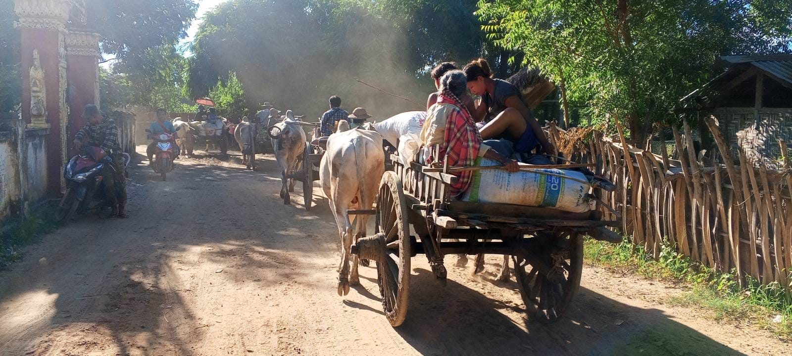 ပုလဲမြို့သိမ်းတိုက်ပွဲများကြောင့် ထွက်ပြေးတိမ်းရှောင်နေကြသည့် ဒေသခံများကို ၂၀၂၄ ခုနှစ်၊ နိုဝင်ဘာ ၁၄ ရက်နေ့က တွေ့ရစဥ်။ ဓာတ်ပုံ - ပုလဲမြို့နယ် ပြည်သူ့အုပ်ချုပ်ရေးအဖွဲ့