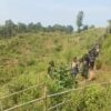 (နတ်စစ်သည်တပ်ခွဲမှ ရဲဘော်အချို့အား ရှေ့တန်းတနေရာတွင် တွေ့ရစဥ်။ ဓာတ်ပုံ - File)