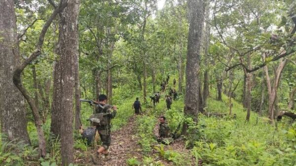 ( DPLA တပ်ဖွဲ့ဝင်များ။ ဓာတ်ပုံ − DPLF)