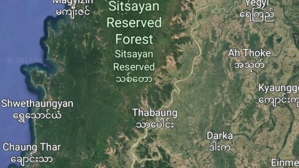 ရေကြည်မြို့နှင့်အနီးဝန်းကျင်​ဒေသကို Google Earth တွင်​တွေ့ရမှု